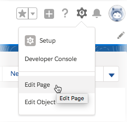 Setup Edit Page Lightning